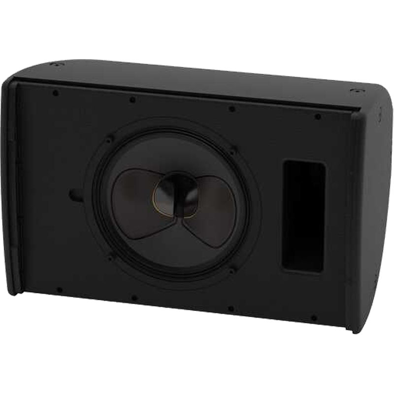 Loa Martin Audio CDD10 có một loa trầm 10 inch và một loa treble 1 inch